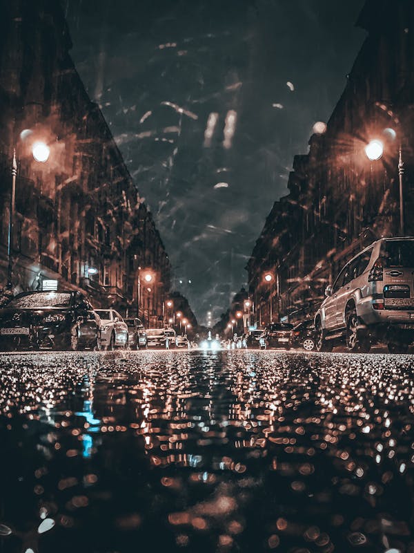 Immigration & Visa Strategy